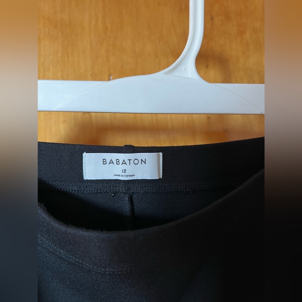 Babaton black skirt from Aritzia